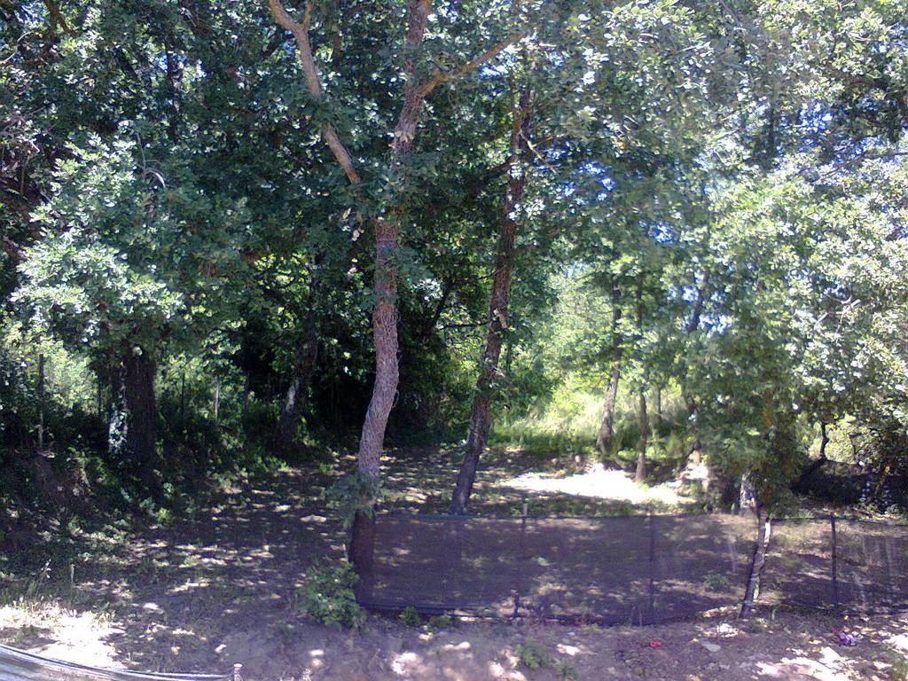 Agriturismo San Pietro Gangi Εξωτερικό φωτογραφία