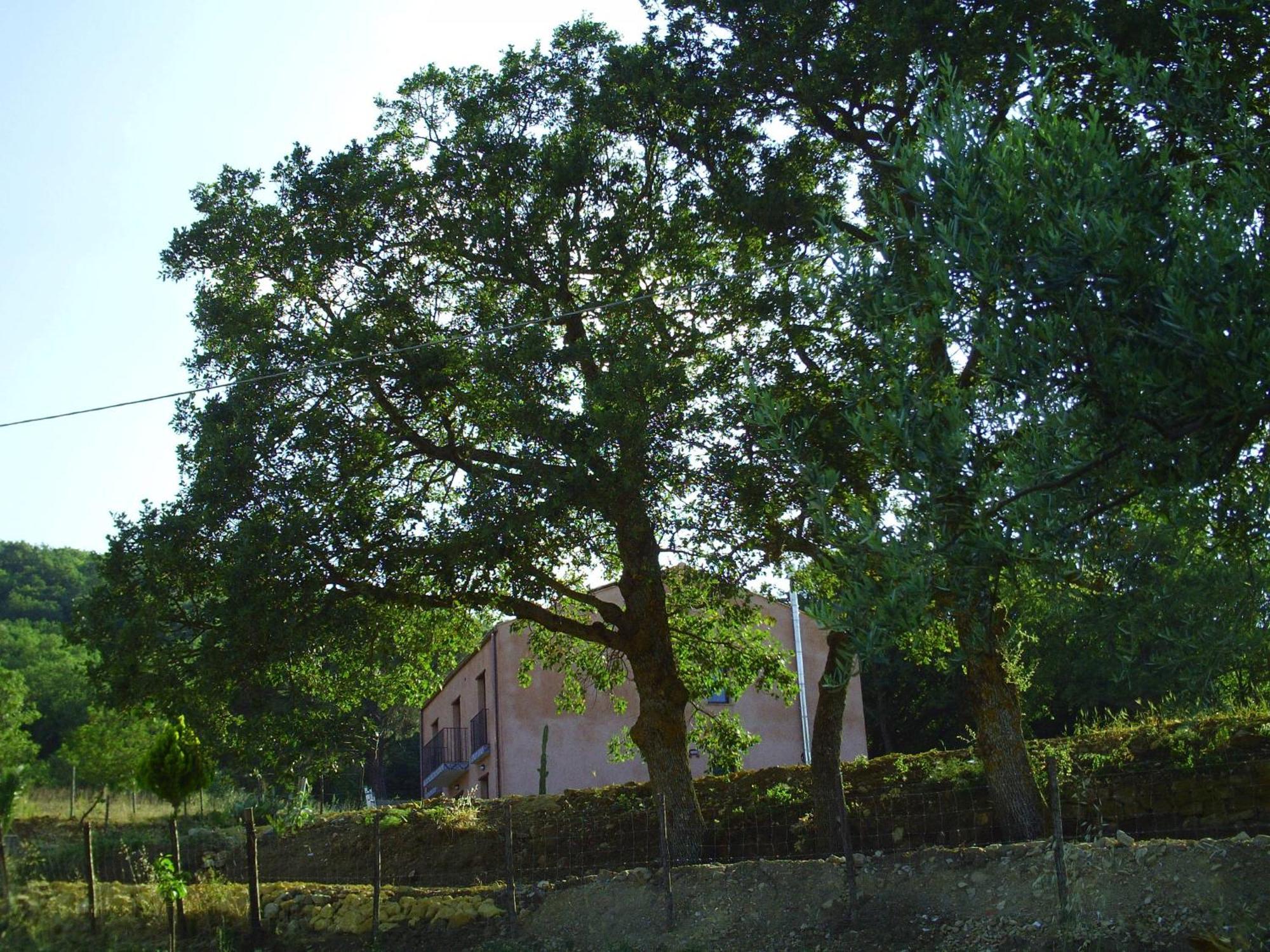 Agriturismo San Pietro Gangi Εξωτερικό φωτογραφία