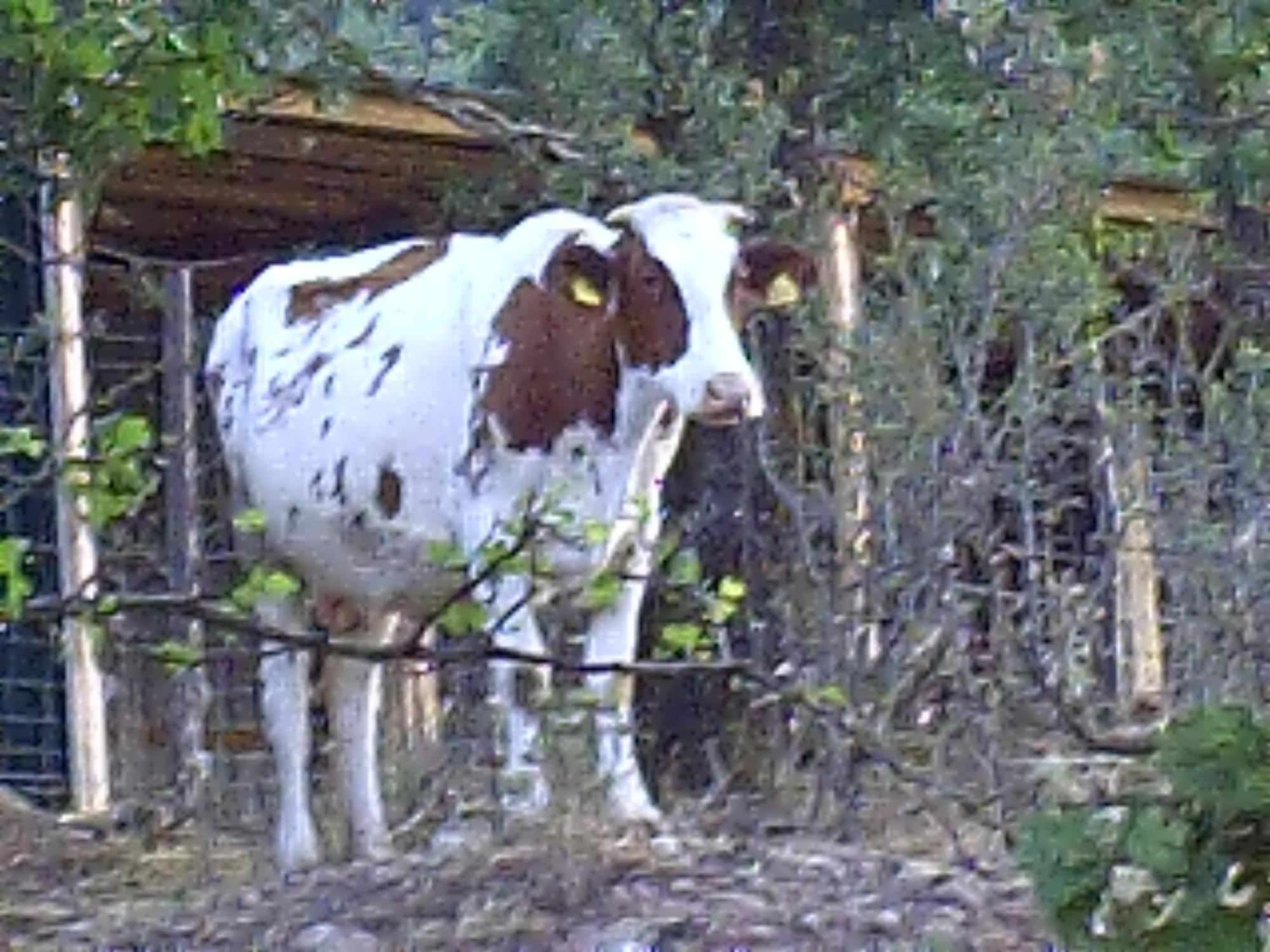 Agriturismo San Pietro Gangi Εξωτερικό φωτογραφία