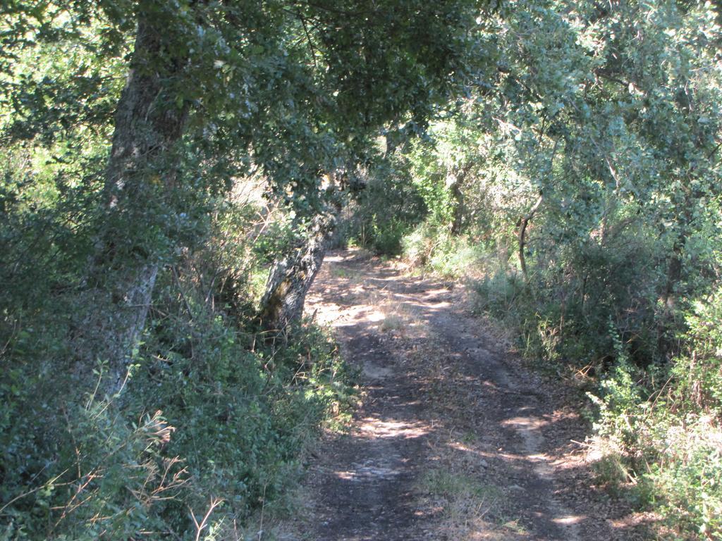 Agriturismo San Pietro Gangi Εξωτερικό φωτογραφία