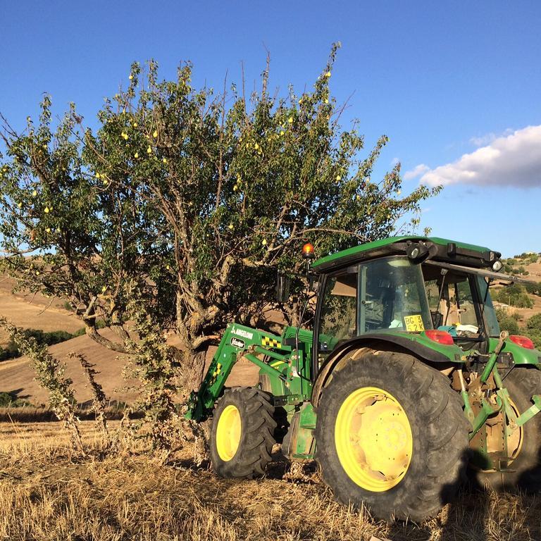Agriturismo San Pietro Gangi Εξωτερικό φωτογραφία