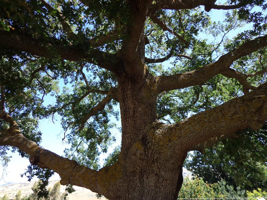 Agriturismo San Pietro Gangi Εξωτερικό φωτογραφία